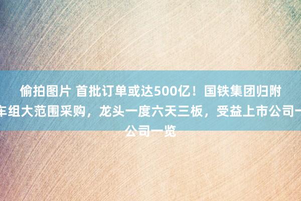 偷拍图片 首批订单或达500亿！国铁集团归附动车组大范围采购，龙头一度六天三板，受益上市公司一览