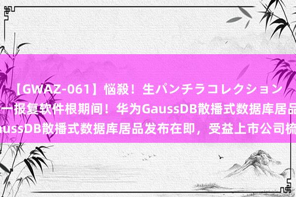 【GWAZ-061】悩殺！生パンチラコレクション 4時間 继MetaERP后另一报复软件根期间！华为GaussDB散播式数据库居品发布在即，受益上市公司梳理