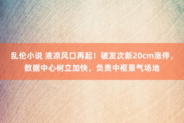 乱伦小说 液凉风口再起！破发次新20cm涨停，数据中心树立加快，负责中枢景气场地