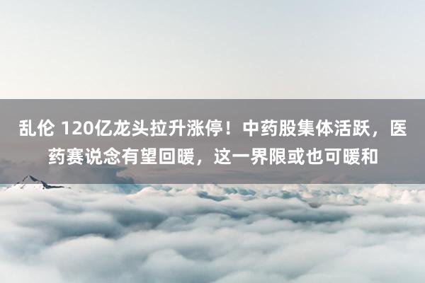 乱伦 120亿龙头拉升涨停！中药股集体活跃，医药赛说念有望回暖，这一界限或也可暖和