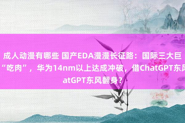 成人动漫有哪些 国产EDA漫漫长征路：国际三大巨头把持“吃肉”，华为14nm以上达成冲破，借ChatGPT东风翻身？