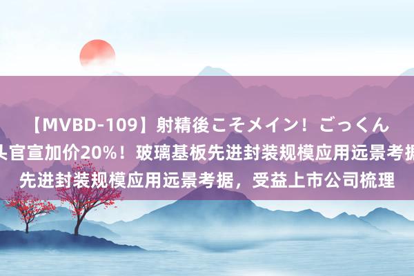 【MVBD-109】射精後こそメイン！ごっくん凄テク8時間 群众龙头官宣加价20%！玻璃基板先进封装规模应用远景考据，受益上市公司梳理