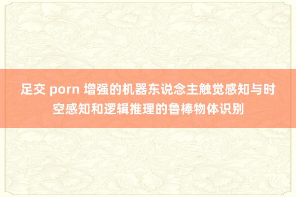 足交 porn 增强的机器东说念主触觉感知与时空感知和逻辑推理的鲁棒物体识别