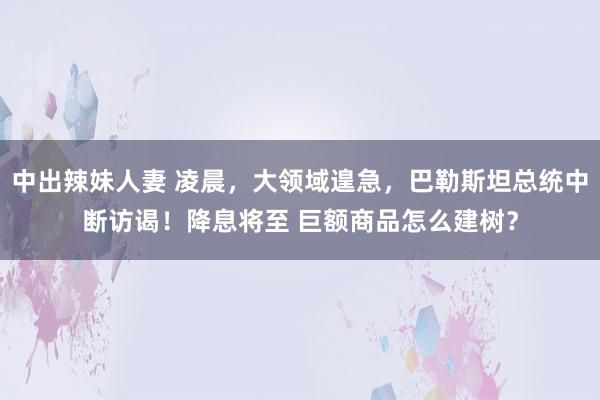 中出辣妹人妻 凌晨，大领域遑急，巴勒斯坦总统中断访谒！降息将至 巨额商品怎么建树？