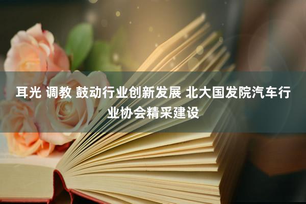 耳光 调教 鼓动行业创新发展 北大国发院汽车行业协会精采建设