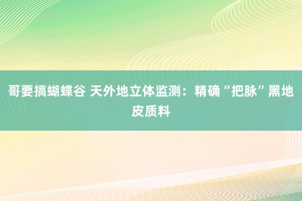 哥要搞蝴蝶谷 天外地立体监测：精确“把脉”黑地皮质料