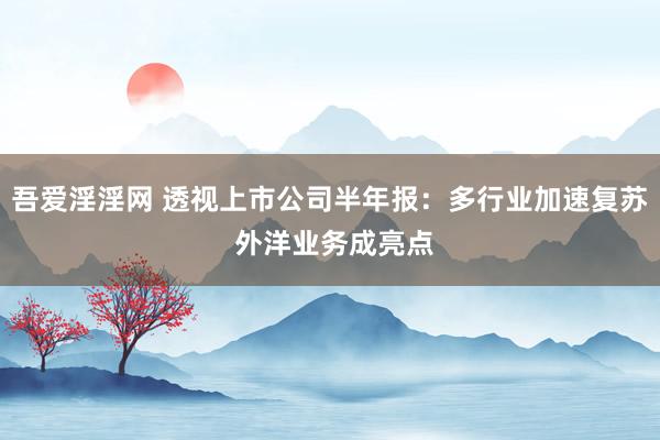 吾爱淫淫网 透视上市公司半年报：多行业加速复苏 外洋业务成亮点