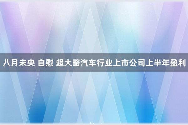 八月未央 自慰 超大略汽车行业上市公司上半年盈利