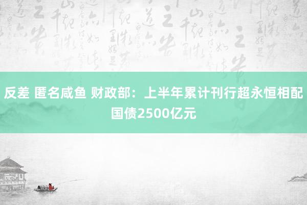 反差 匿名咸鱼 财政部：上半年累计刊行超永恒相配国债2500亿元