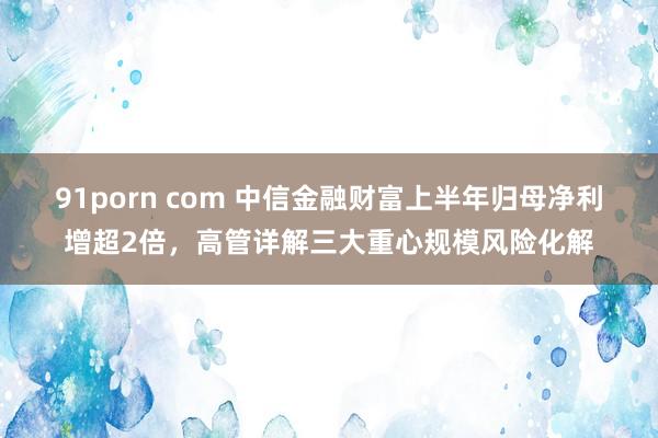 91porn com 中信金融财富上半年归母净利增超2倍，高管详解三大重心规模风险化解