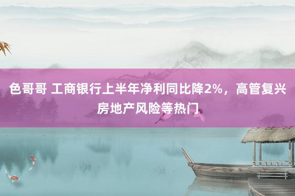 色哥哥 工商银行上半年净利同比降2%，高管复兴房地产风险等热门