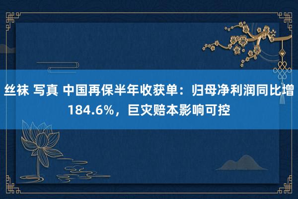 丝袜 写真 中国再保半年收获单：归母净利润同比增184.6%，巨灾赔本影响可控