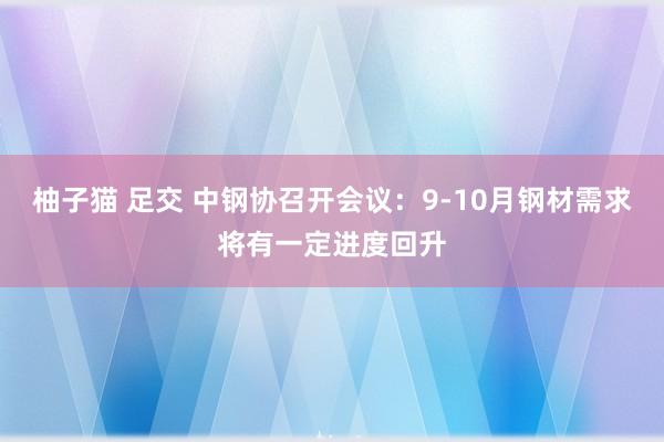 柚子猫 足交 中钢协召开会议：9-10月钢材需求将有一定进度回升