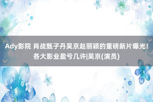 Ady影院 肖战甄子丹吴京赵丽颖的重磅新片曝光！各大影业盈亏几许|吴京(演员)