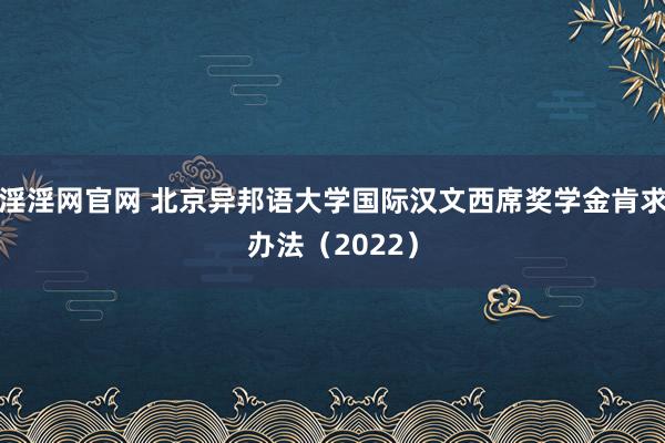 淫淫网官网 北京异邦语大学国际汉文西席奖学金肯求办法（2022）