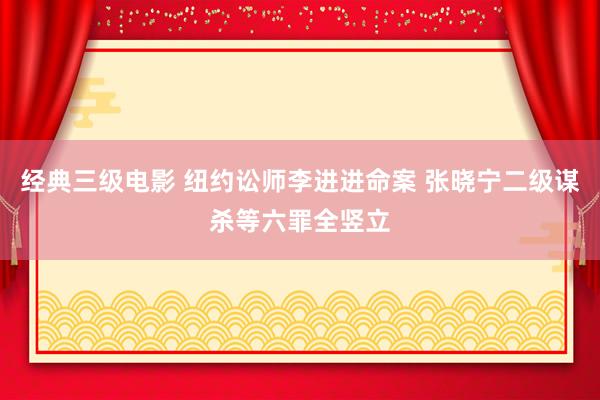 经典三级电影 纽约讼师李进进命案 张晓宁二级谋杀等六罪全竖立