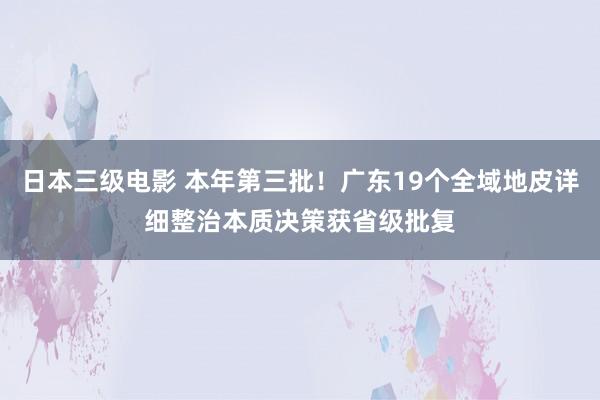 日本三级电影 本年第三批！广东19个全域地皮详细整治本质决策获省级批复