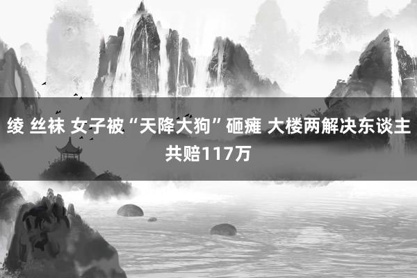 绫 丝袜 女子被“天降大狗”砸瘫 大楼两解决东谈主共赔117万